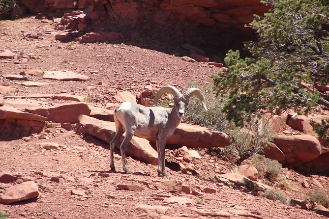 Private Grand Canyon Full Day Hike - Gear that helps you hike smarter