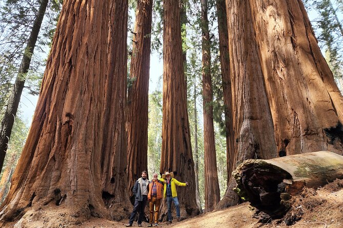 Private Guided Hiking Tour - Sequoia National Park - Key Highlights You’ll Care About