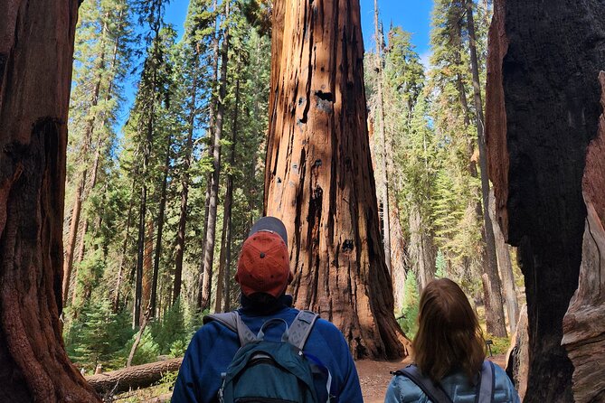 Private Guided Hiking Tour - Sequoia National Park - Why This Private Sequoia and Kings Canyon Day Works