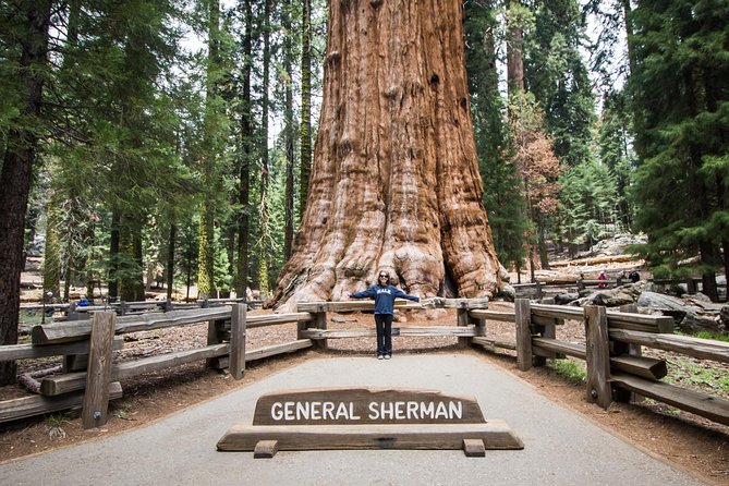 Private Guided Hiking Tour - Sequoia National Park - Moro Rock Trail and Great Western Divide: Short Walk, Big View Energy