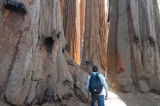 Private Guided Hiking Tour - Sequoia National Park - Price and Logistics: Is This Private Tour Worth $450?