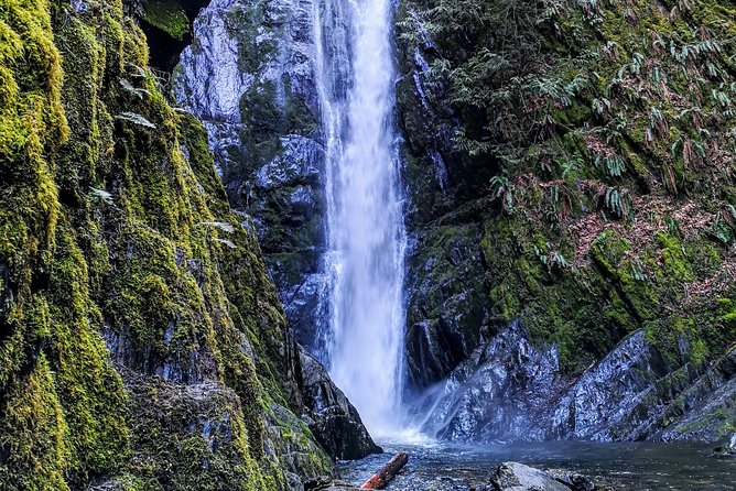 Private Guided Rainforest Hike in Victoria - Choosing Your Trail Flavor: Forest Loop vs. Viewpoint Add-On