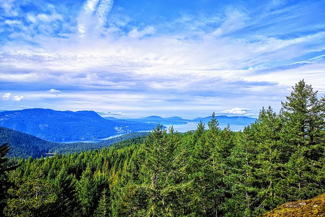 Private Guided Rainforest Hike in Victoria - What Duration Really Means: About 3 Hours Total