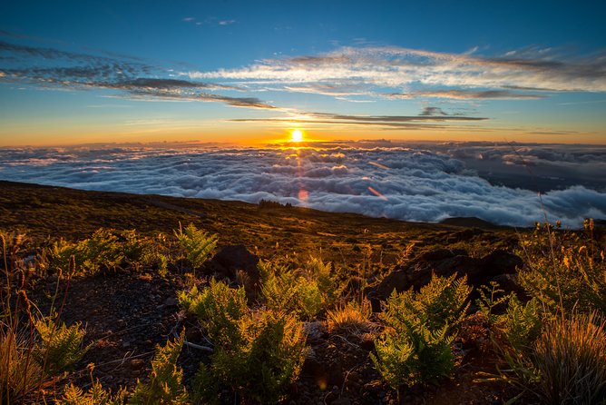 Private Haleakala Summit & Stroll from Kahului - Why this private Haleakalā summit-and-crater plan works