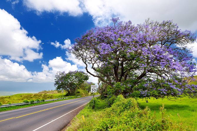 Private Haleakala Summit & Stroll from Kahului - Stop 3: Haleakalā Highway and Crater Road for changing terrain