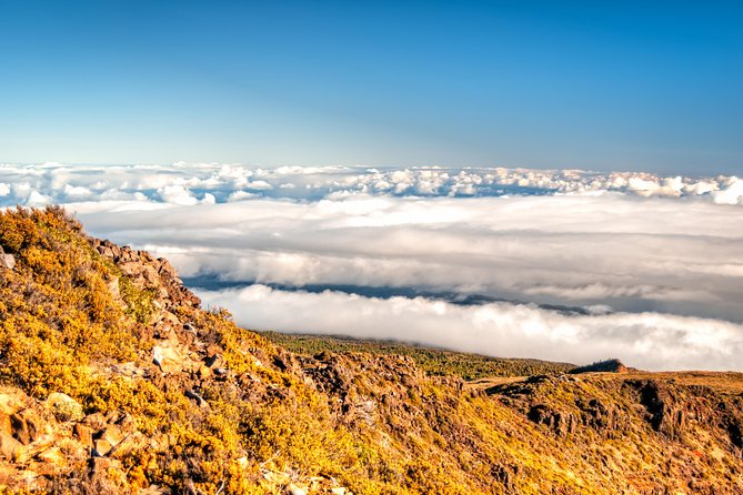 Private Haleakala Summit & Stroll from Kahului - Snacks, water, and why small details matter at elevation