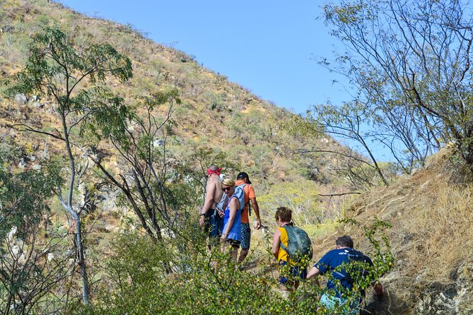 Private Hiking at the Fox Canyon from Cabo San Lucas - Lunch in Miraflores: Mexican tacos, guacamole, and a vegan option
