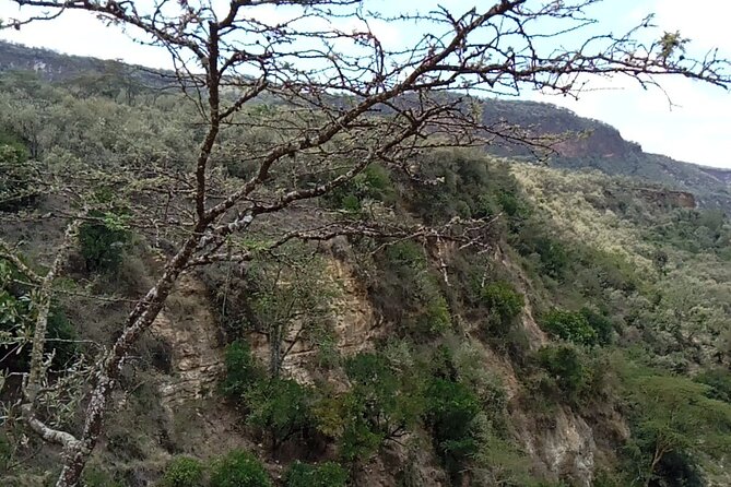 Private Hiking Day Trip to Mt. Longonot from Nairobi - Crater rim views: Rift Valley scale you can actually feel