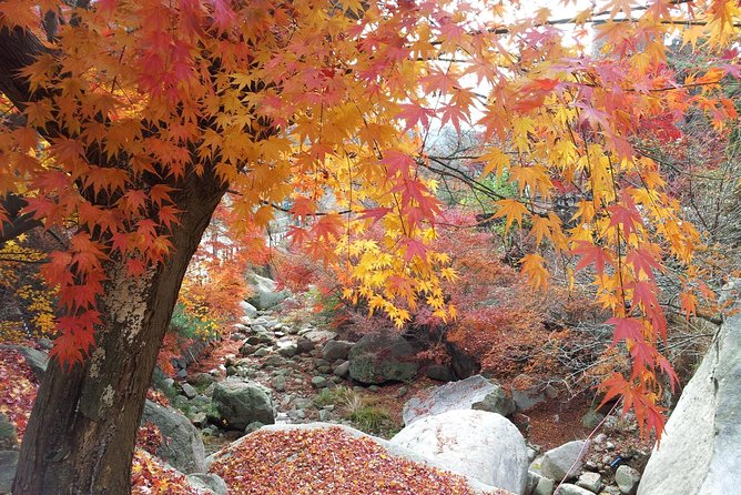 Private Hiking to Bukhansan & Korean Style Spa(Include Lunch) - Guides are the difference-maker: why the storytelling lands