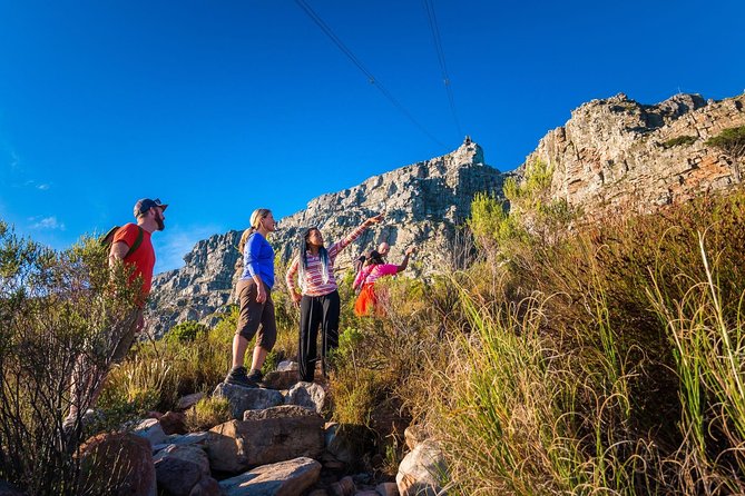 Private Hiking Tour of Table Mountain - Key highlights at a glance