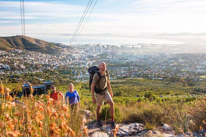 Private Hiking Tour of Table Mountain - Price and value: what you’re paying for at $253.96 per person