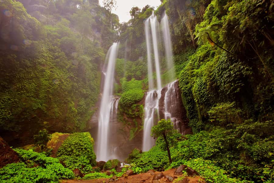 Private Sekumpul Waterfall Hiking Tour - Price and Value: What You’re Actually Paying For