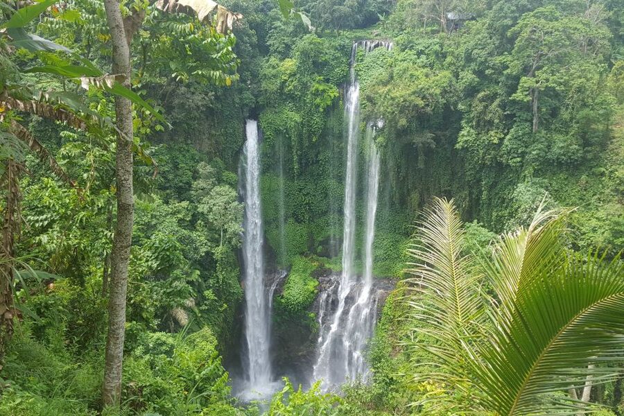 Private Sekumpul Waterfall Hiking Tour - Should You Book This Sekumpul Waterfall Hiking Tour?