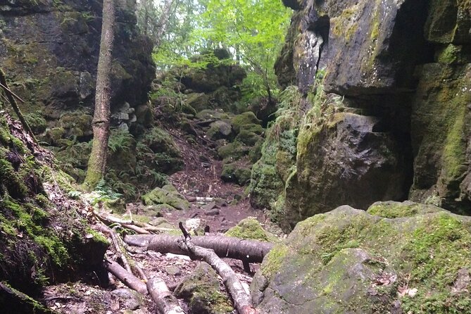 Private Singhampton Caves Hiking Tour, Collingwood/Blue Mountain - Finding the Trailhead Near Blue Mountain (And Why It Matters)