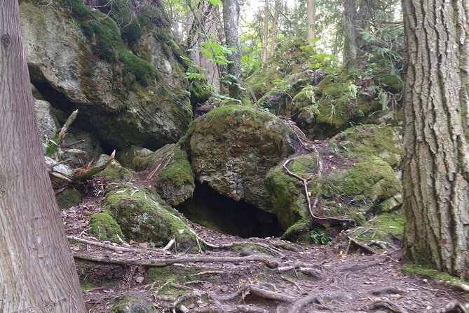 Private Singhampton Caves Hiking Tour, Collingwood/Blue Mountain - Singhampton vs. Nottawasaga Bluffs: Pick Your Cave Personality