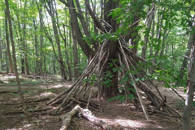 Private Singhampton Caves Hiking Tour, Collingwood/Blue Mountain - What to Bring for Closed-Toe Comfort and Calm