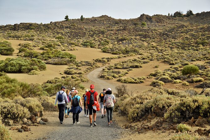 PRIVATE TOUR Teide National Park: Hiking and Stargazing - A 3:00 pm start that turns Teide into an evening show