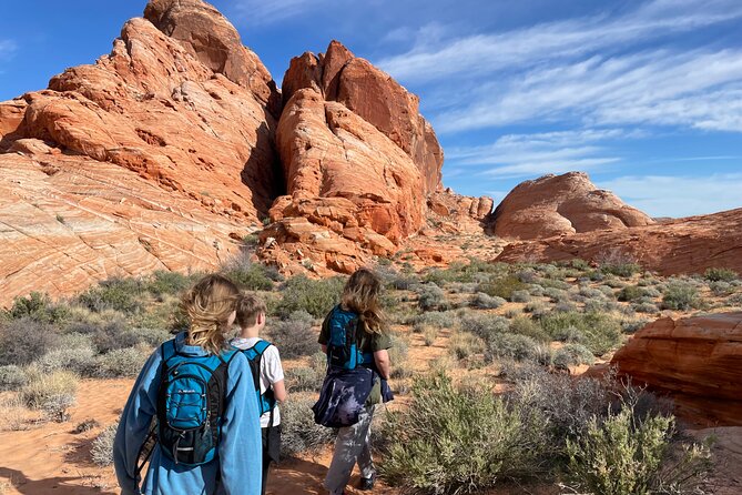 Private Valley of Fire Hiking and Sightseeing Adventure - Price and Logistics: Is $180 Worth It?