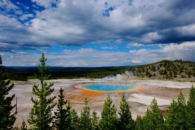Private Yellowstone Tour: ICONIC Sites, Wildlife, Family Friendly Hikes + lunch - Private Yellowstone routing: what you gain when it’s just your group