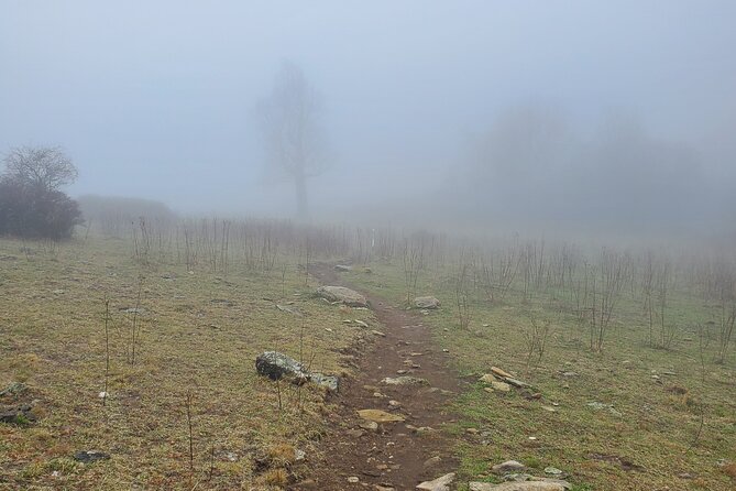 Privately Guided Full Day Hike - What you’re paying for in a $220 per-person day