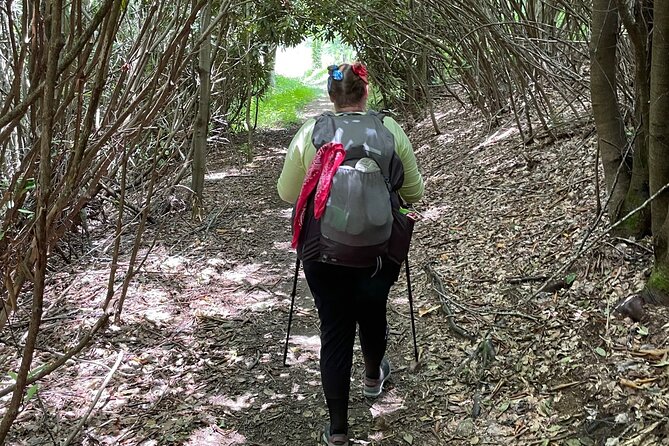 Privately Guided Full Day Hike - Blue Ridge Parkway drive: scenic payoff without the planning stress