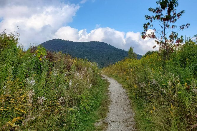 Privately Guided Half Day Hike - Route Tailoring: Views vs. Creeks vs. Wildflowers