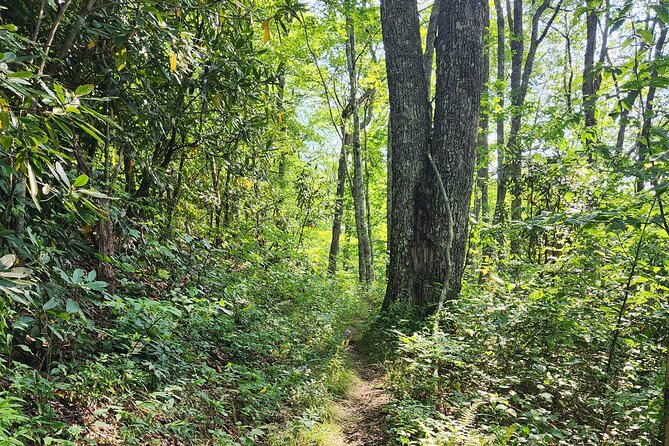Privately Guided Half Day Hike - Price and Value: When This Beats DIY