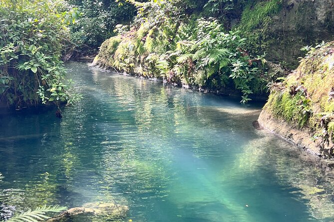 Puerto Rico Charco Azul Hiking Adventure - Price and timing: is $89 worth it?