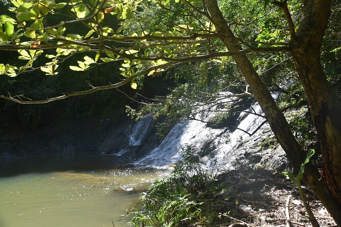 Puerto Rico Waterfall Hiking Tour: Discover Hidden Gems 2.0 - Key things to know before you go