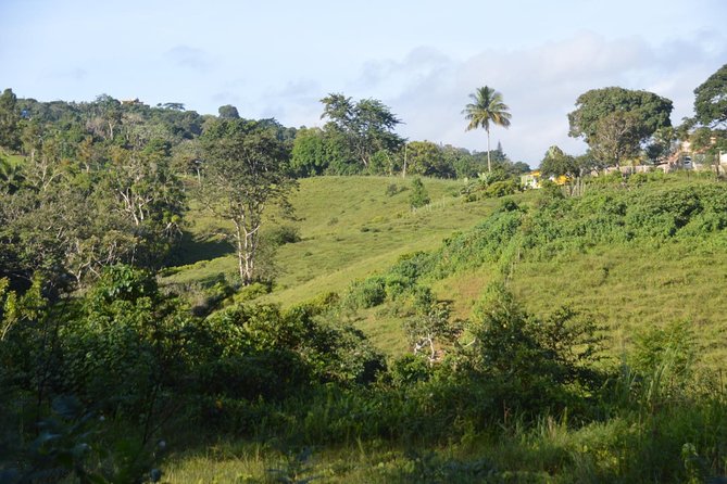 Puerto Rico Waterfall Hiking Tour: Discover Hidden Gems 2.0 - From San Juan to the Mountains: The Van Ride That Sets the Mood