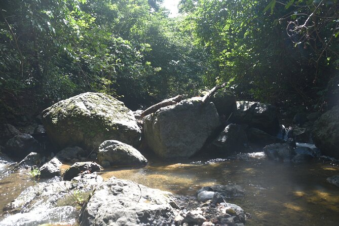 Puerto Rico Waterfall Hiking Tour: Discover Hidden Gems 2.0 - Lunch After the Hike: Local Food You Pay For (Plan for It)