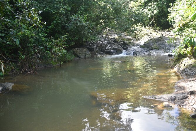 Puerto Rico Waterfall Hiking Tour: Discover Hidden Gems 2.0 - What to Pack: Foot Grip, Extra Socks, and a Hands-Free Bag
