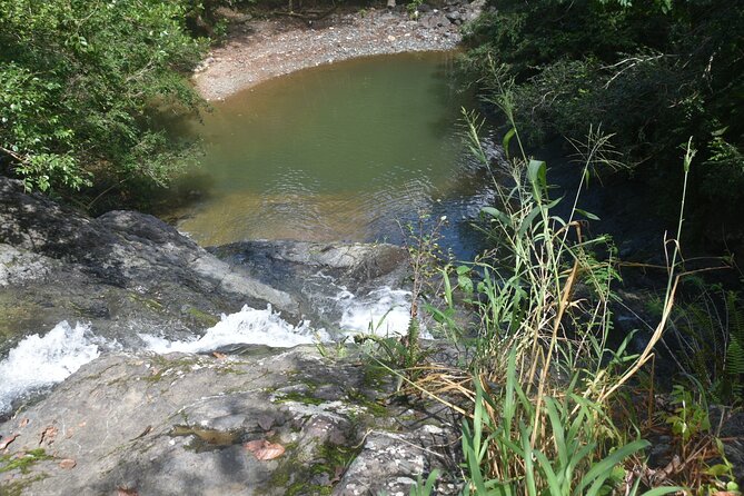 Puerto Rico Waterfall Hiking Tour: Discover Hidden Gems 2.0 - Price and Value: Is $80 Worth It?