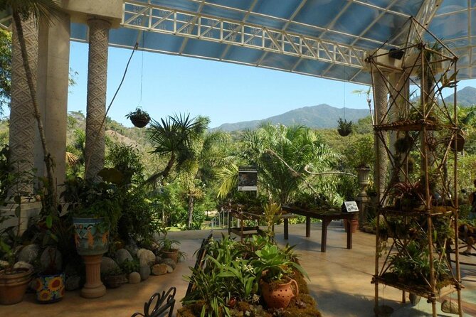 Puerto Vallarta Botanical Gardens Hiking Tour - Entering Jardin Botanico de Vallarta: orchids, guided plant spotting, and an easy start
