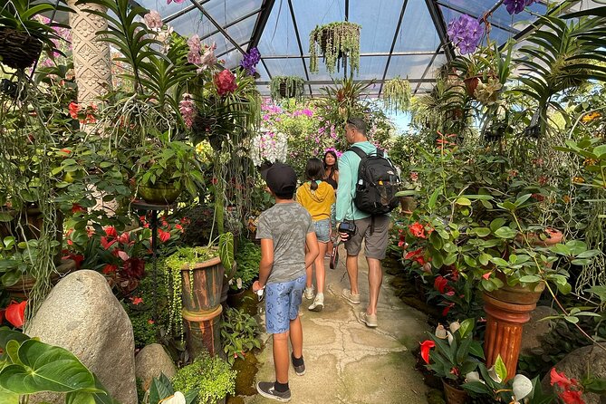Puerto Vallarta Botanical Gardens Hiking Tour - Animal Sanctuary encounters: rescued wildlife and real opportunities to observe