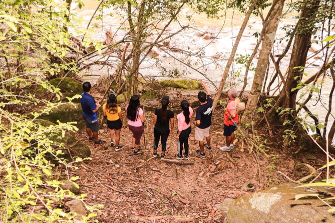 Puerto Vallarta Botanical Gardens Hiking Tour - Traditional tequila tasting: included, guided, and not just a quick gimmick