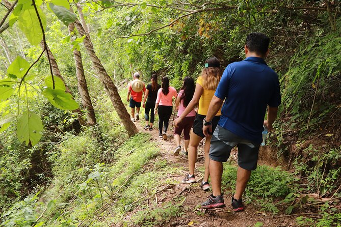 Puerto Vallarta Botanical Gardens Hiking Tour - Price and value: $102 for a whole day of access, not just a single attraction