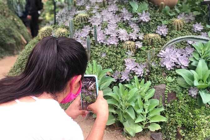 Puerto Vallarta Botanical Gardens Hiking Tour - Logistics that matter: meeting point, timing, and what to bring