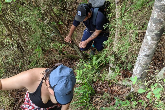 Puerto Vallarta Waterfall Hike - The city bus ride to the river: short, scenic, and useful