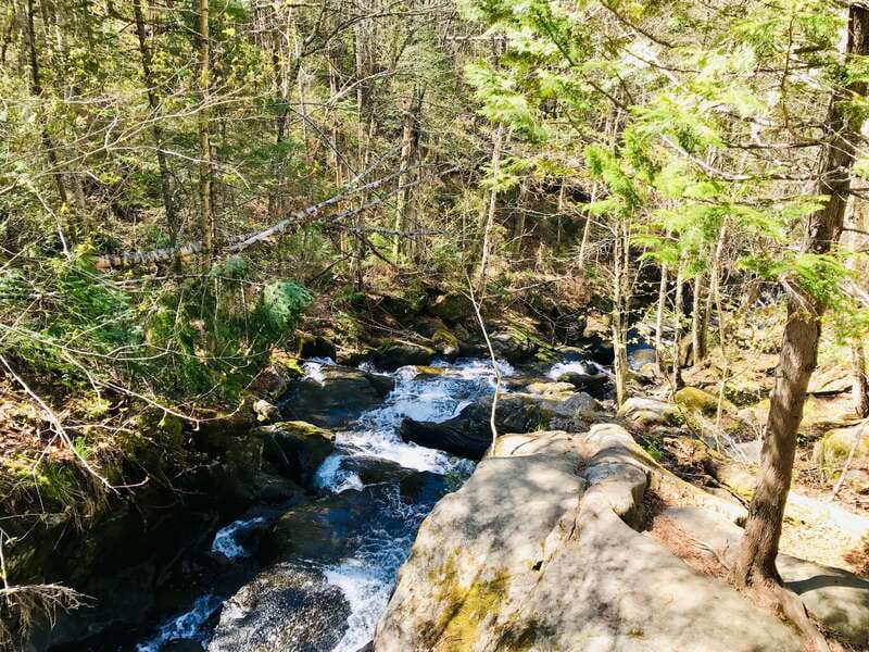 Quebec City: Guided Hike in Jacques-Cartier National Park - Food and drink tastings: a fun reason to slow down