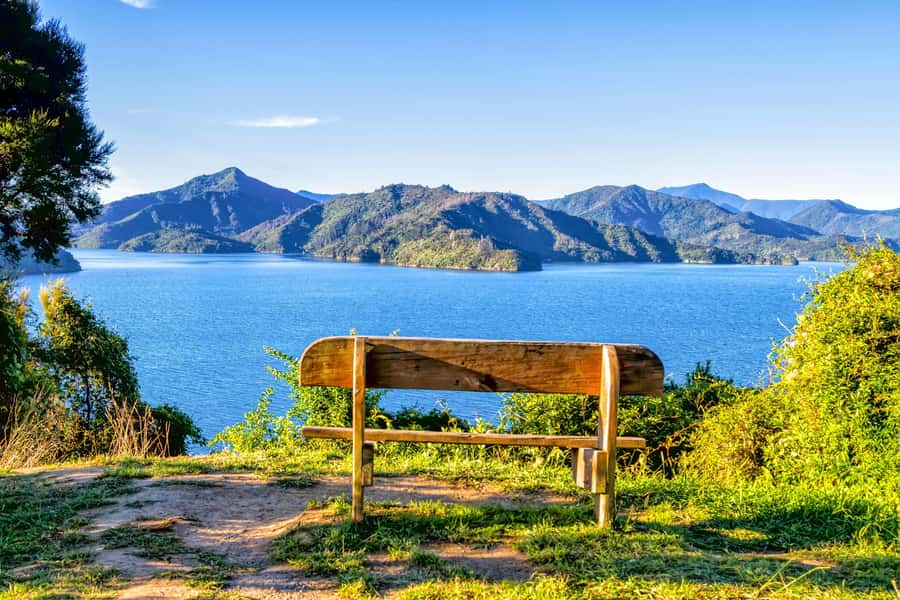 Queen Charlotte Track: Cruise & Self-Guided Hike from Picton - Key Things I’d Plan Around