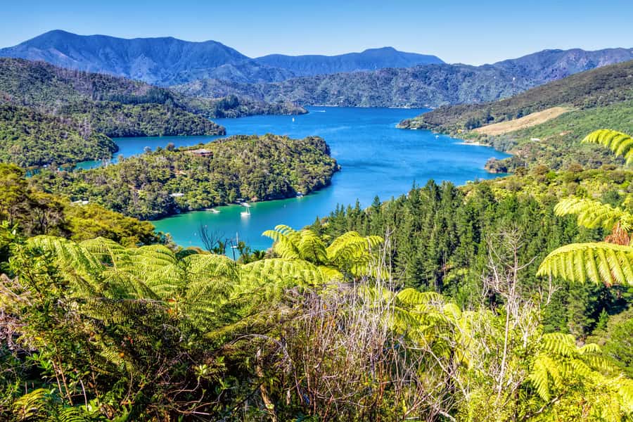 Queen Charlotte Track: Cruise & Self-Guided Hike from Picton - From Picton to Ship Cove: Why the Boat Ride Matters