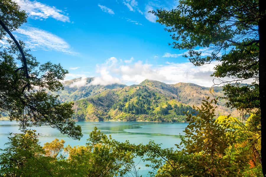Queen Charlotte Track: Cruise & Self-Guided Hike from Picton - The Self-Guided Queen Charlotte Track: Two Very Different Days
