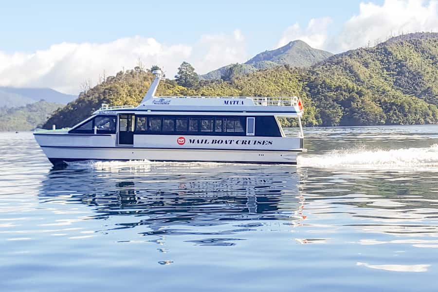 Queen Charlotte Track: Cruise & Self-Guided Hike from Picton - What Furneaux Lodge and Punga Cove Feel Like After the Walk