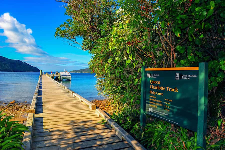 Queen Charlotte Track: Cruise & Self-Guided Hike from Picton - Price and Value: Is This $66 Well Spent?