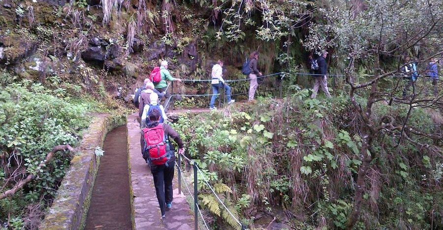 Queimadas Natural Park 5-Hour Guided Hike - Setting Off: Hotel Pickup From Funchal and Nearby Areas