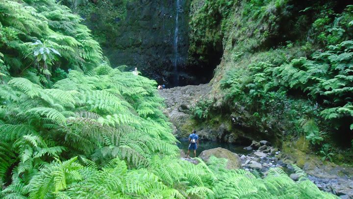 Queimadas Natural Park 5-Hour Guided Hike - What You’ll See Along the Way: Valleys, Waterfalls, Craters, and Sea