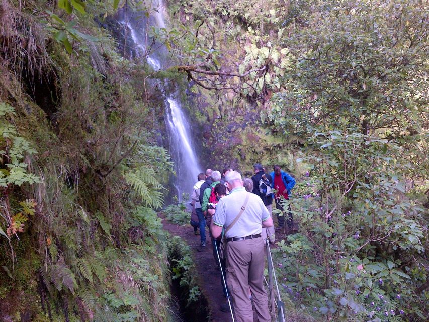 Queimadas Natural Park 5-Hour Guided Hike - The Role of the Guide: Informative, Upbeat, and Practical