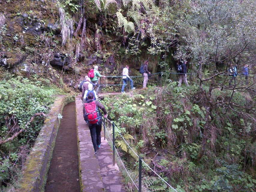 Queimadas Natural Park 5-Hour Guided Hike - Price and Value: Is $48 Worth It?