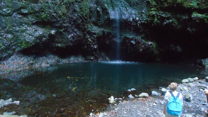 Queimadas Natural Park 5-Hour Guided Hike - Should You Book This Levada Hike?